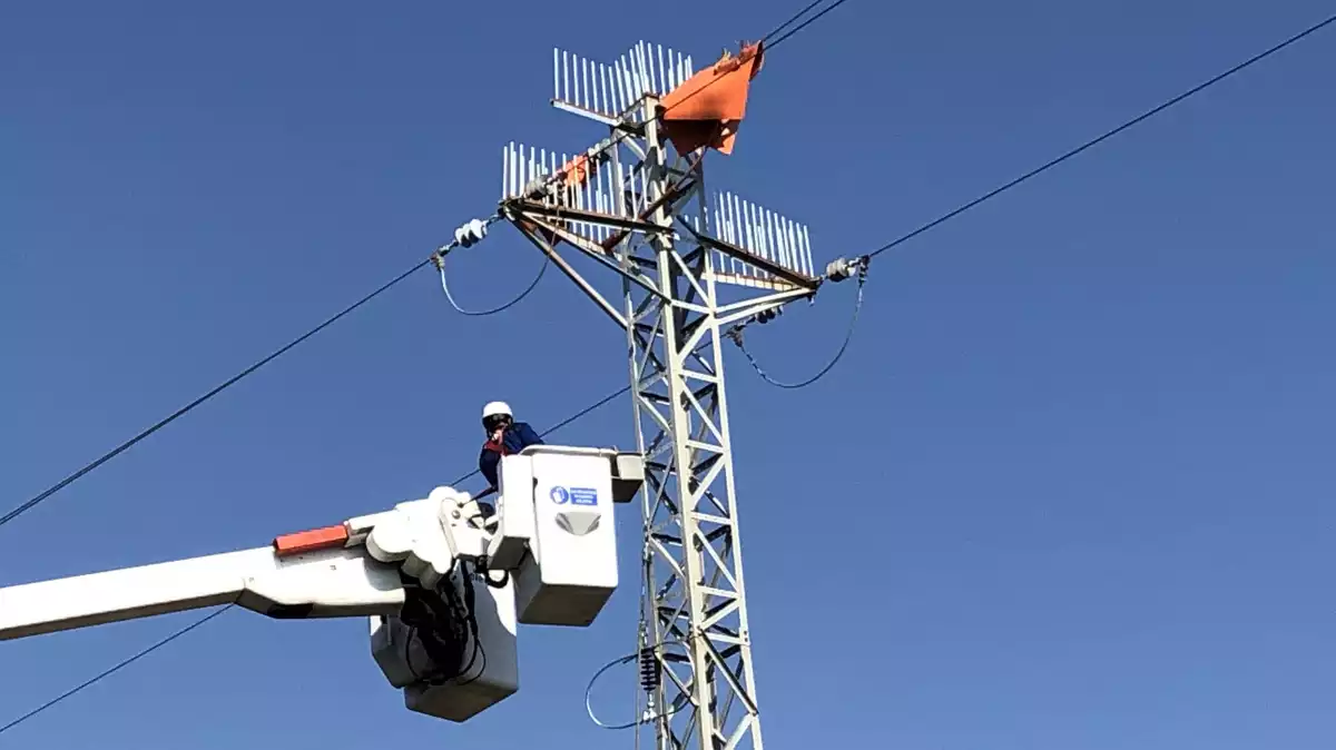 Instal·lació del dispositiu anti-ocells en una torre elèctrica