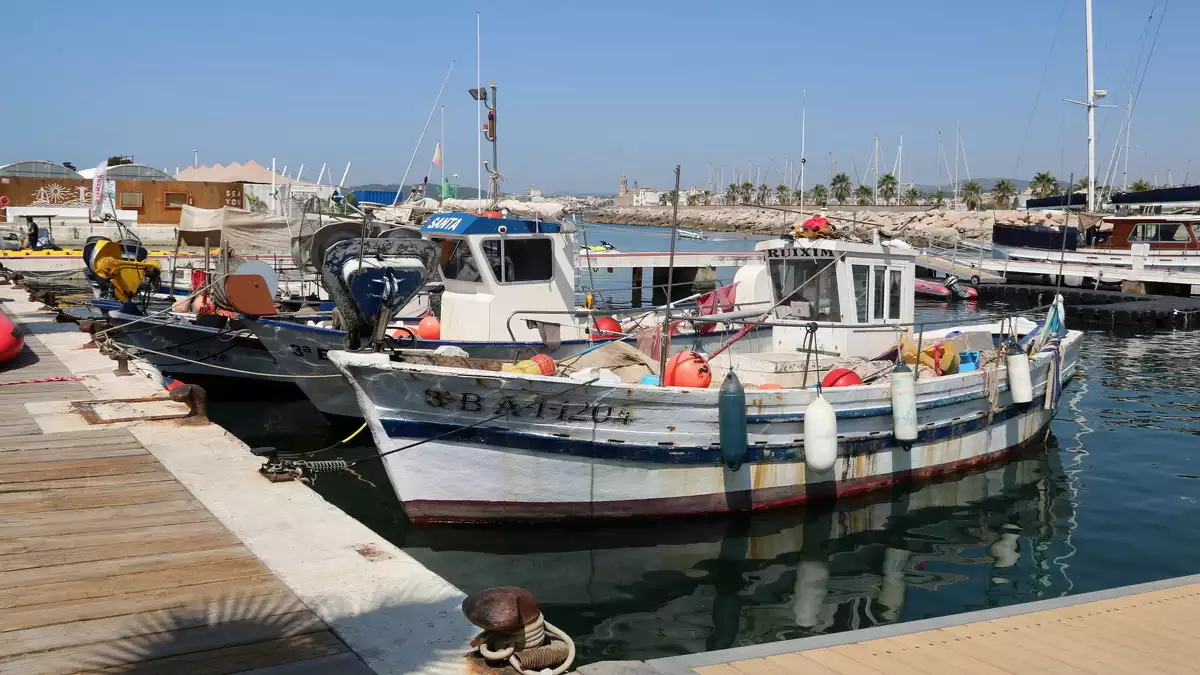 Gran pla general de les barques dels pescadors artesanals de Sitges amarrades al Port d'Aiguadolç