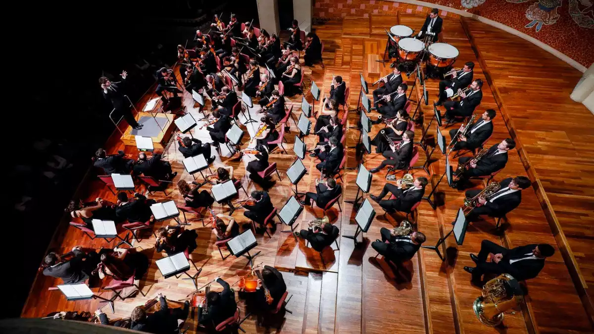 orquestra-simfonica-camera-musicae-2019