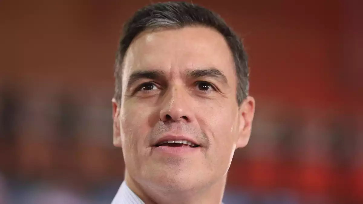 Pedro Sánchez s'imposa en les eleccions del 10-N