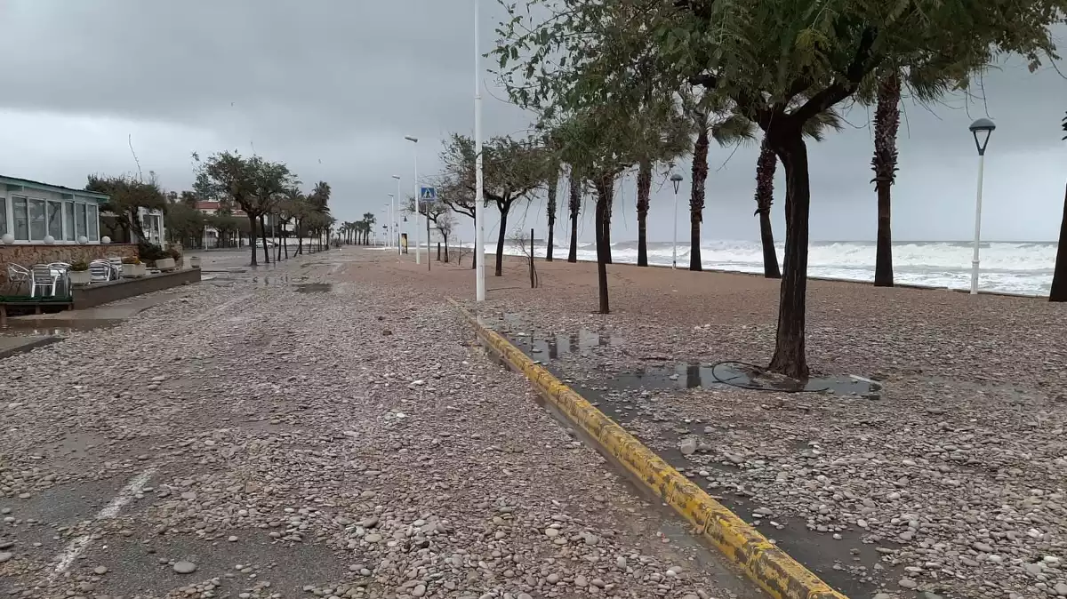 El municipi d'Alcanar s'ha vist molt afectat pel temporal Glòria