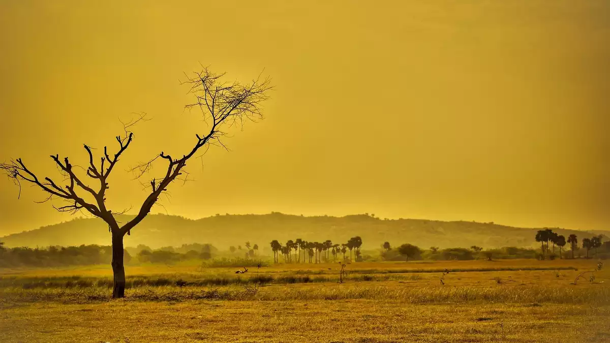 Imatge d'un desert àrid, sec i calorós