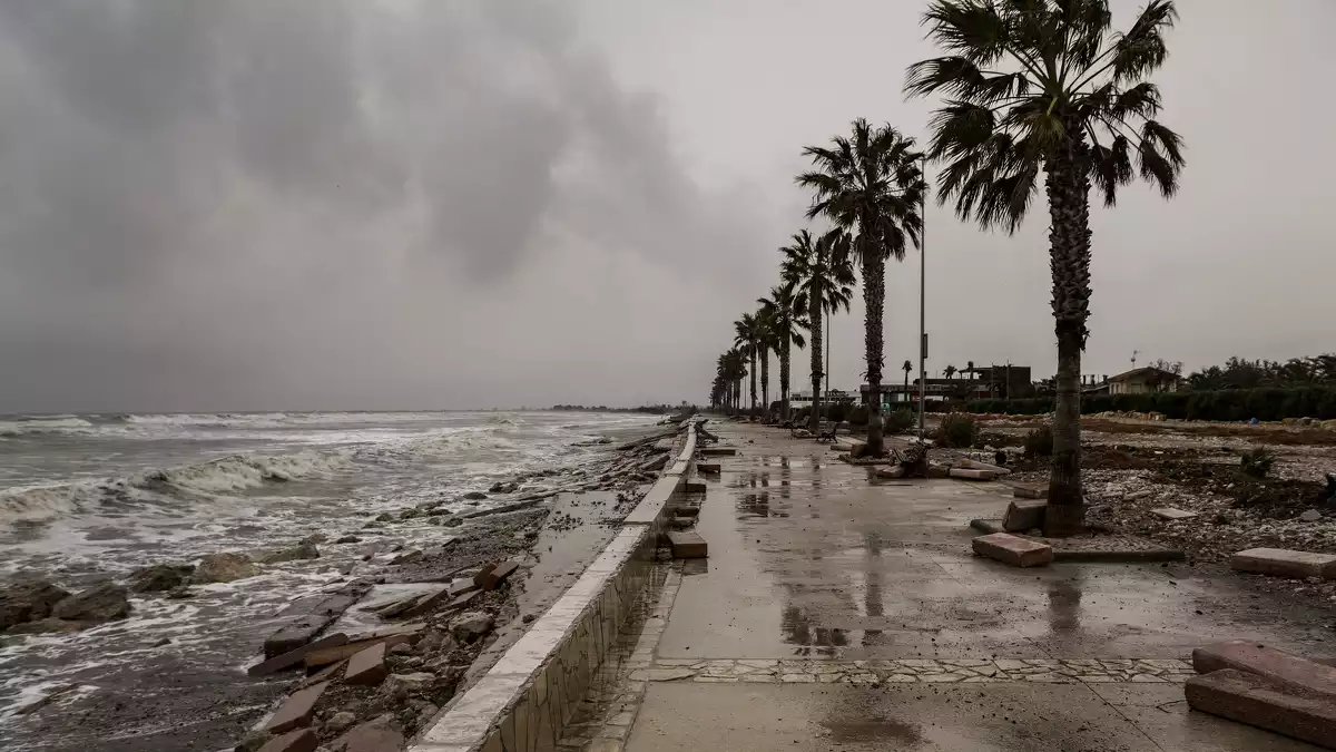 El paisatge desolador al Delta de l'Ebre després dels aiguats en imatges