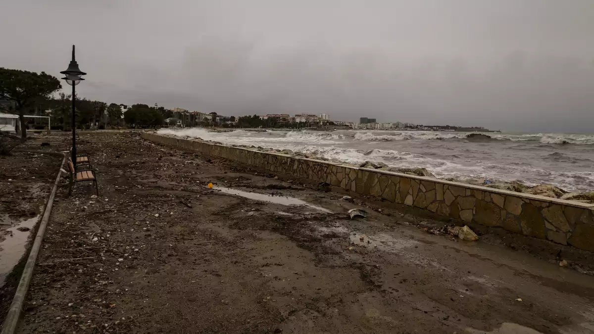 El paisatge desolador al Delta de l'Ebre després dels aiguats en imatges