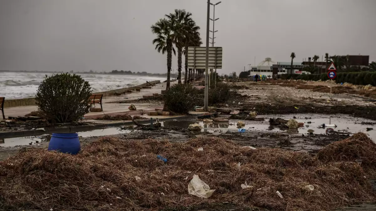 El paisatge desolador al Delta de l'Ebre després dels aiguats en imatges
