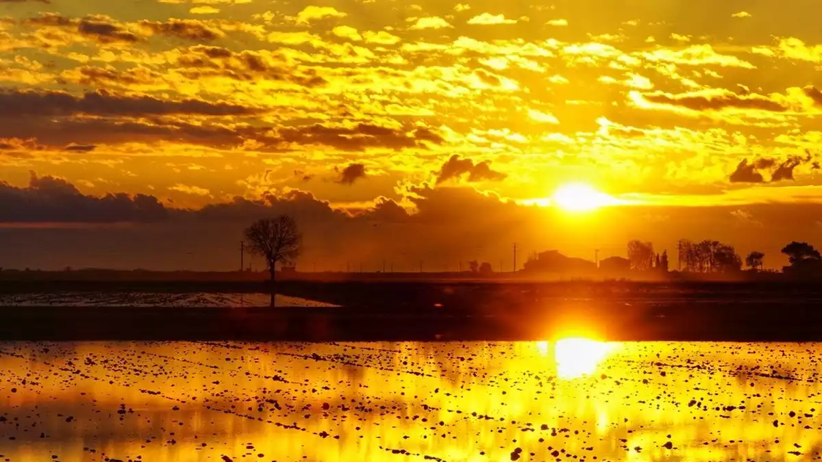 Sortida de sol un matí al Delta de l'Ebre