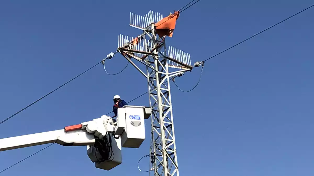 Instal·lació del dispositiu anti-ocells en una torre elèctrica