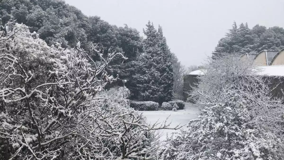 Imatge de la nevada a Gandesa