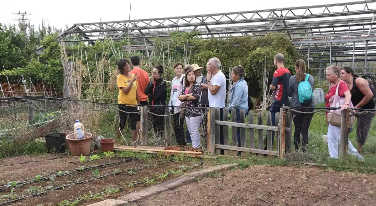 Imatge dels horts ecològics de Cal Dània de Torredembarra.