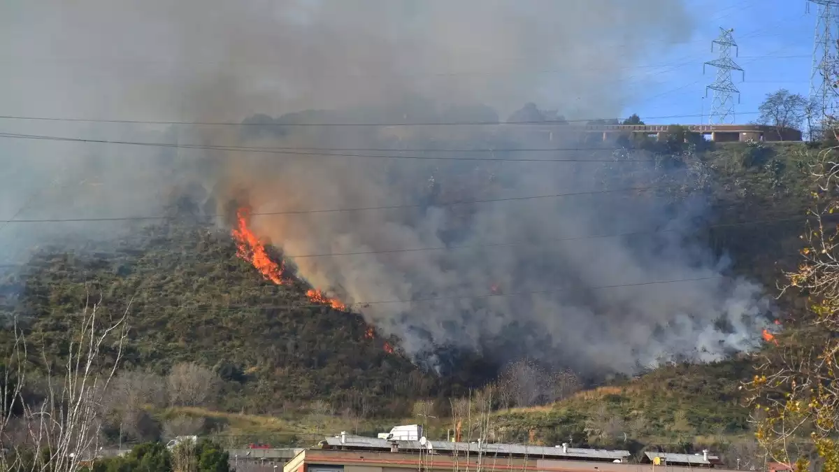 Imatge d'un incendi a Collserola el 7 de gener del 2020