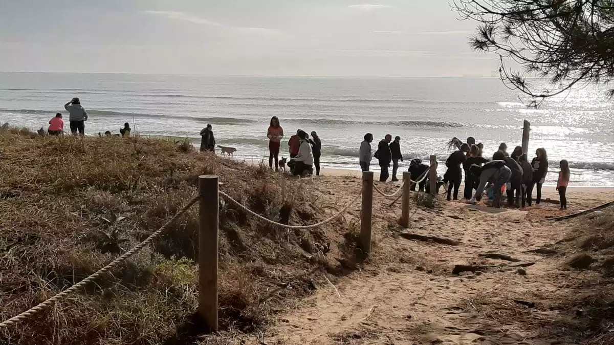 Persones retirant deixalles a la platja Llarga de Tarragona