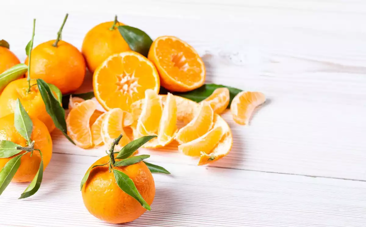 taronges-mandarines-citrics