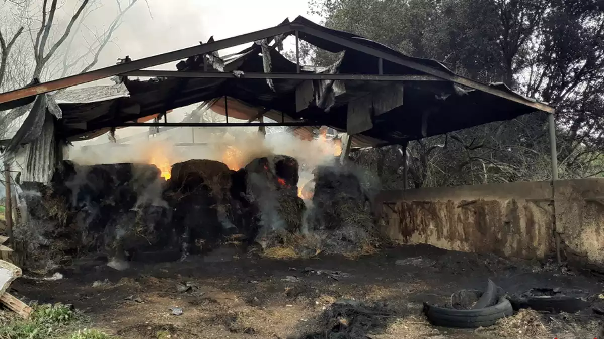 Paller cremat a Viladasense (Gironès)