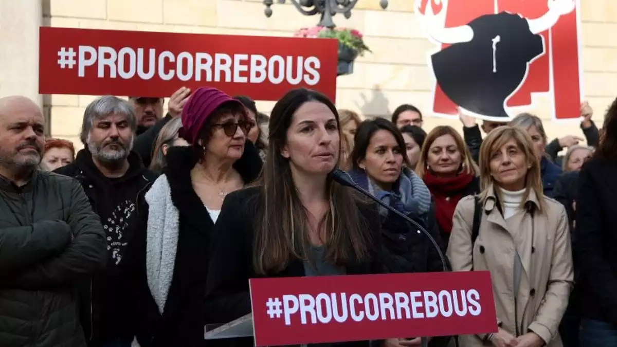 Pla mitjà de la portaveu de la plataforma 'Prou Correbous', Aïda Gascón, en l'acte de la plaça Sant Jaume el 15 de gener de 2020