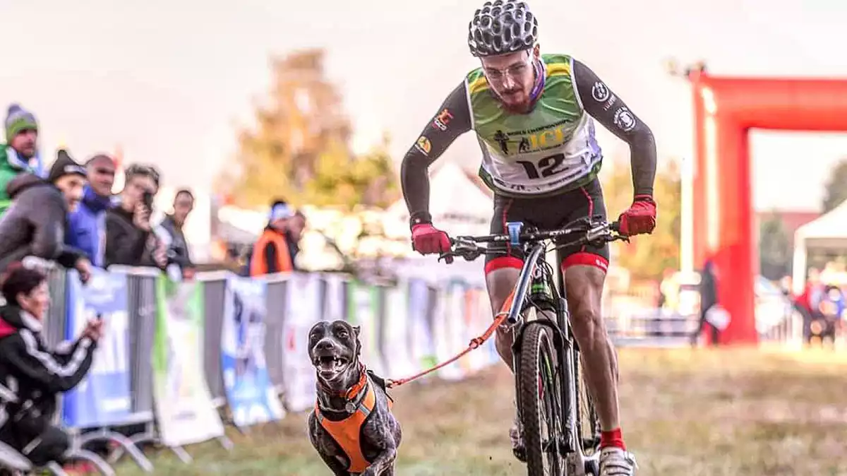 Unai González en una competició de 'bikejoring', amb el seu gos Loki estirant de la bici.