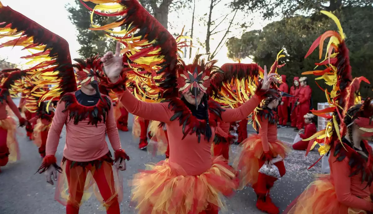 Carnaval Vilallonga del camp 2019