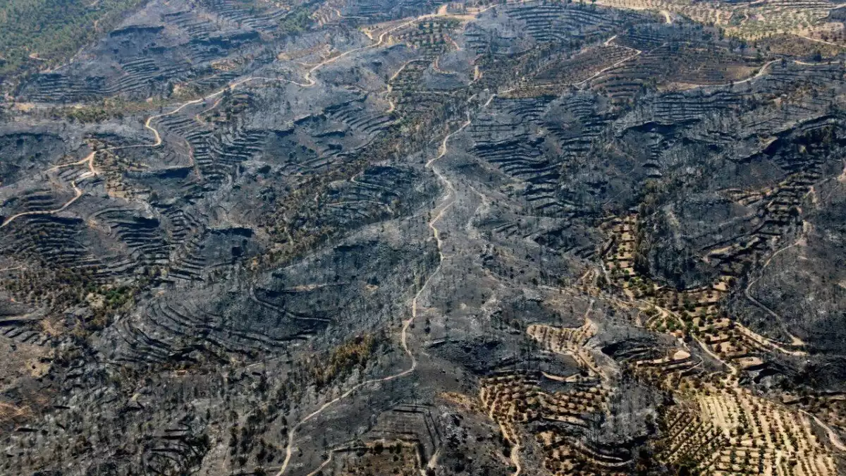 El pas del foc per la Ribera d'Ebre, el darrer estiu.