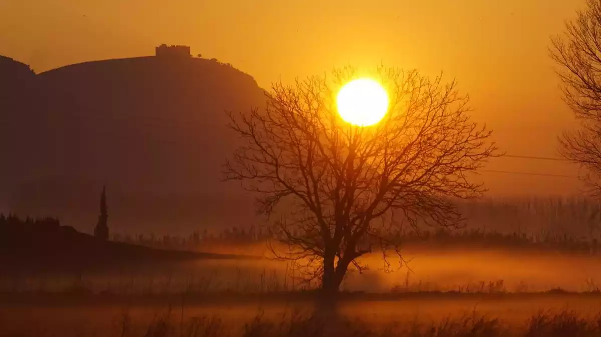 Imatge d'una sortida de sol en un dia d'hivern a Verges, al Baix Empordà