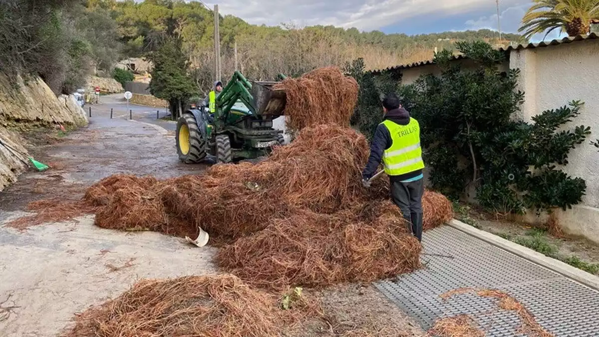 Dos operaris del càmping Trillas recollint els desperfectes causats pel temporal Glòria