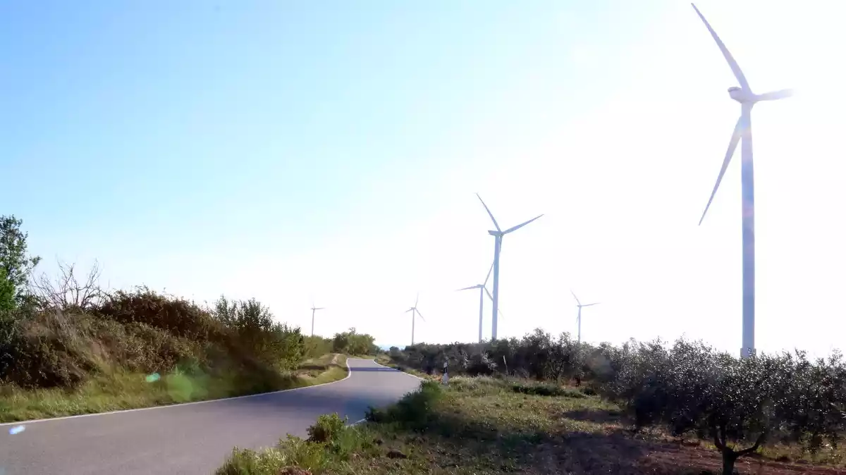 Pla general d'aerogeneradors amb les ombres que produeixen a la carretera a la Fatarella