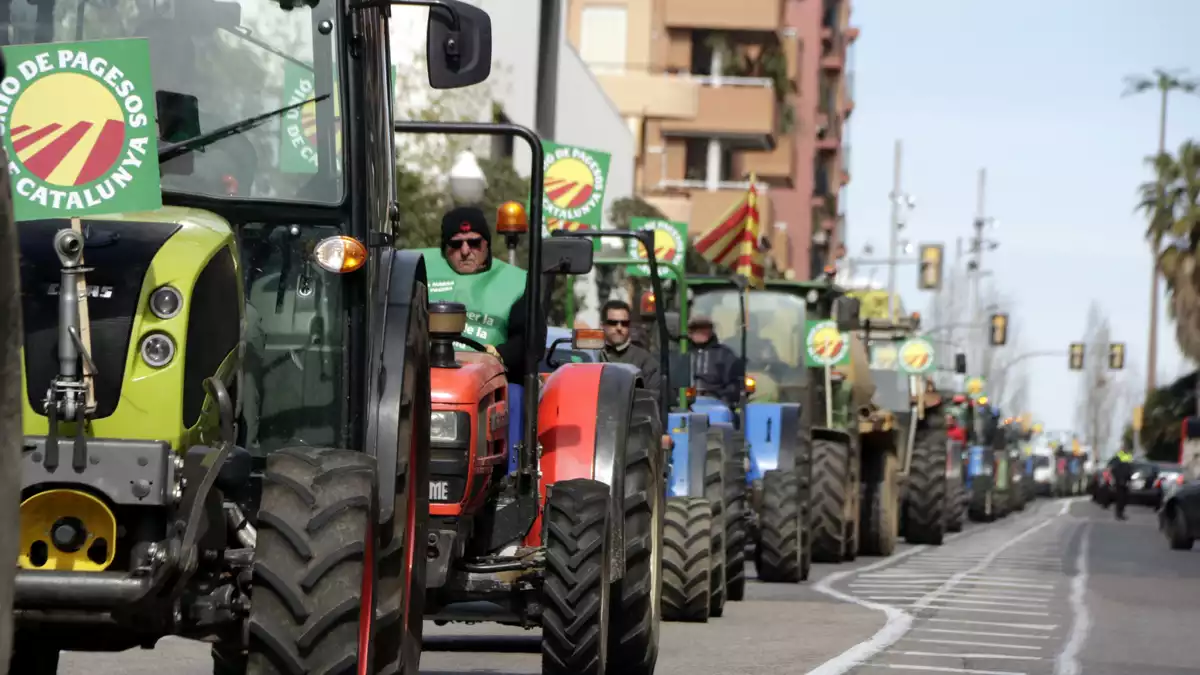 Imatge d'una filera de tractors recorrent l'avinguda Andorra de Tarragona