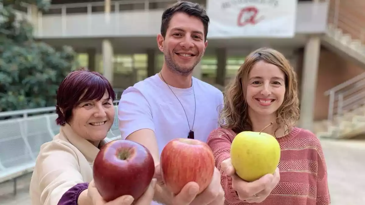 Sandoval, Solà i Catalán, amb tres pomes de la seva recerca
