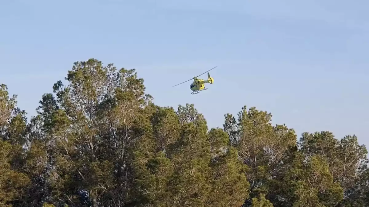 Imatge de l'helicòpter del SEM sobrevolant una zona de pins a Miami Platja.