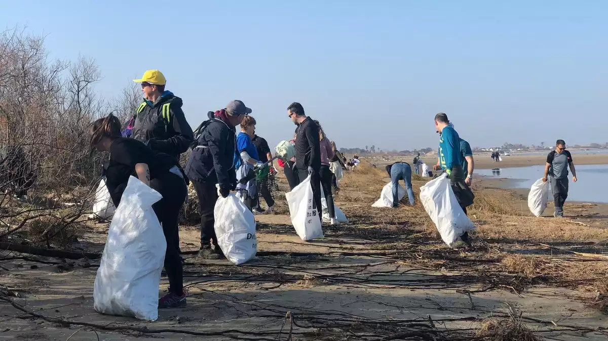 Un grup de persones durant la recollida de residus a les platges de Deltebre