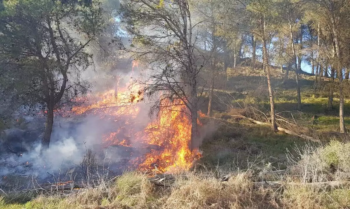 Un incendi crema 2.000 metres quadrats de sotabrat a la partida de Torres de Sanui de Lleida, el dia 10 de febrer de 2020.