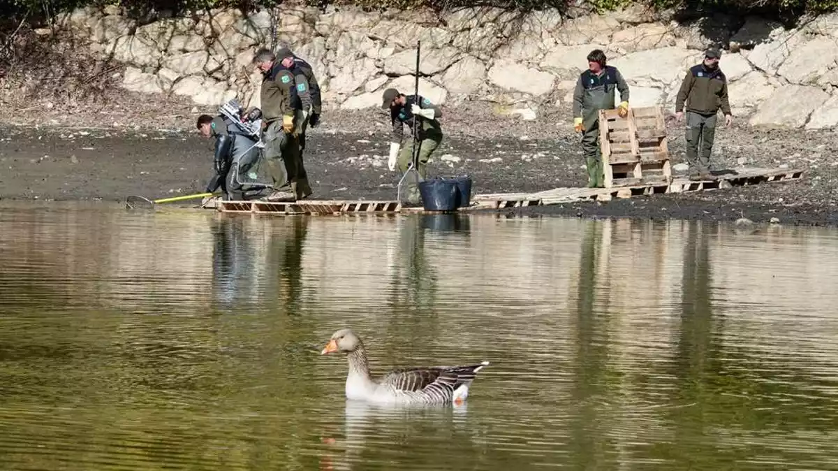 Imatge del buidatge de l'estany de Puigcerdà el març del 2020