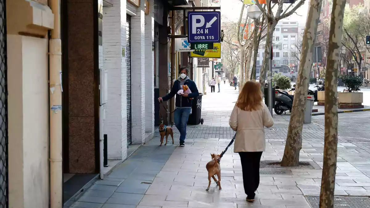 Una dona passejant el gos a Madrid durant el confinament pel coronavirus el 15 de març de 2020