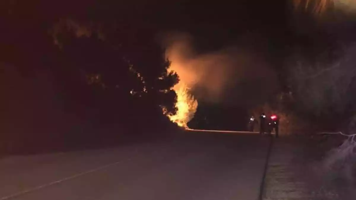 Imatge d'un incendi de vegetació a Calafell