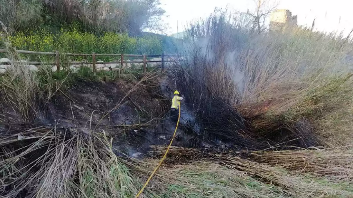 Crema una zona de canyís al costat del carrer Sant Jordi a Flix.