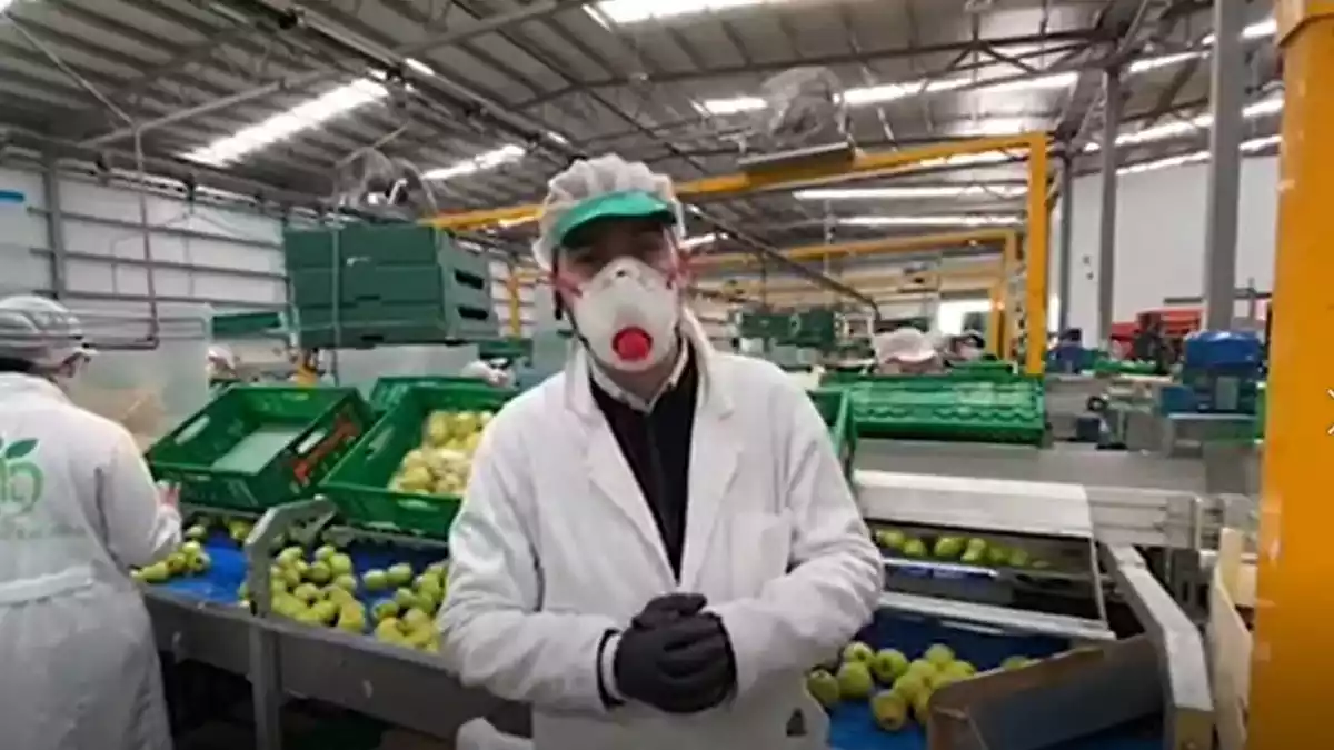 Fotograma del vídeo publicado por Mercadona donde salen empleados de Agrícola Gil, Zaragoza. 20 de marzo de 2020