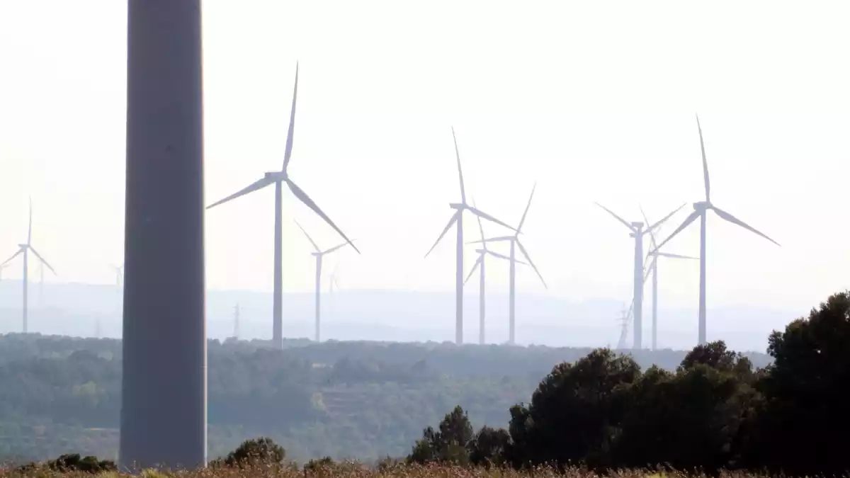 Pla general d'alguns dels aerogeneradors en funcionament a l'altiplà de la Terra Alta, entre la Fatarella i Vilalba dels Arcs