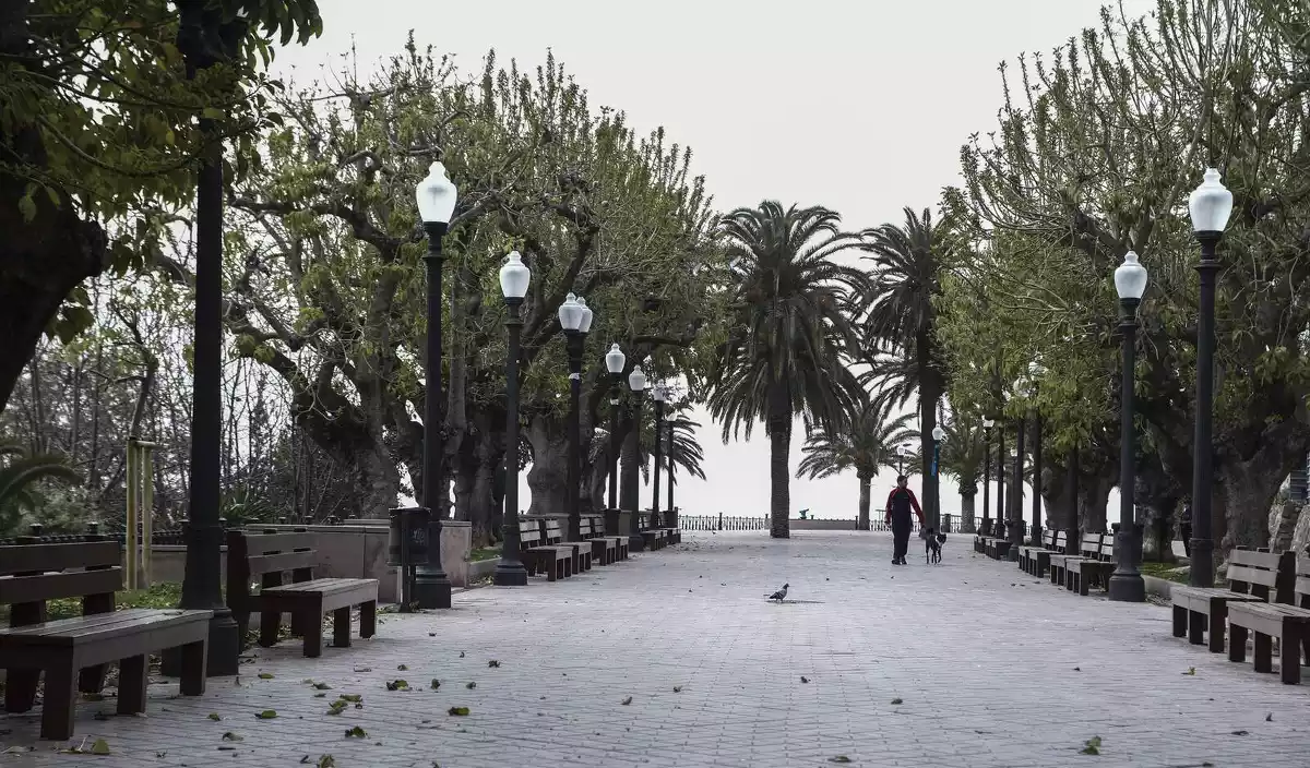 Passeig de les Palmeres buit a Tarragona.