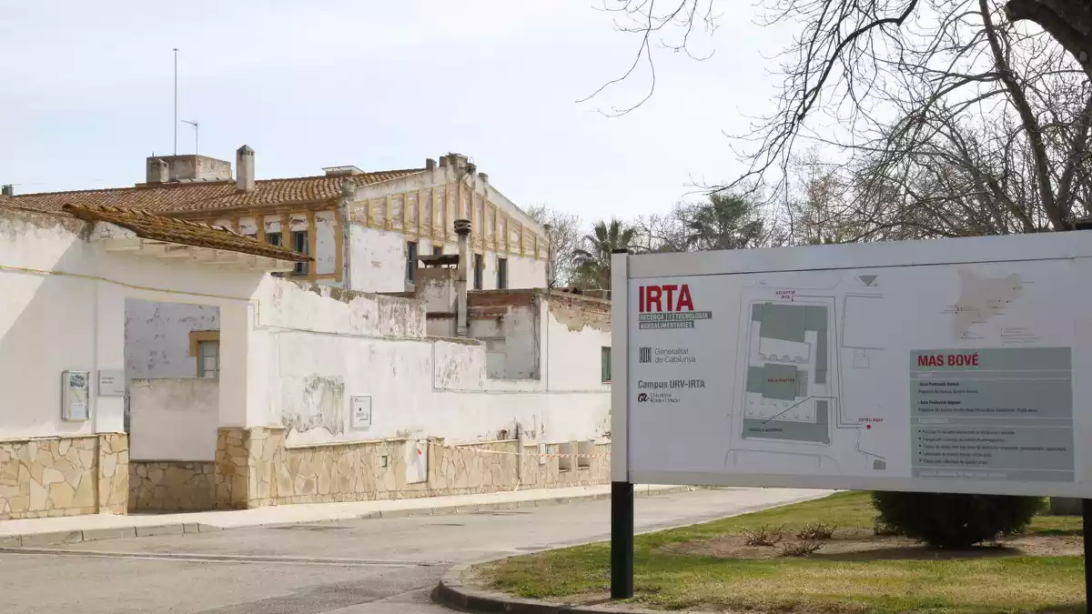 Les instal·lacions de l'IRTA al centre Mas Bové a Constantí on s'hi farà un espai d'interpretació de l'oli