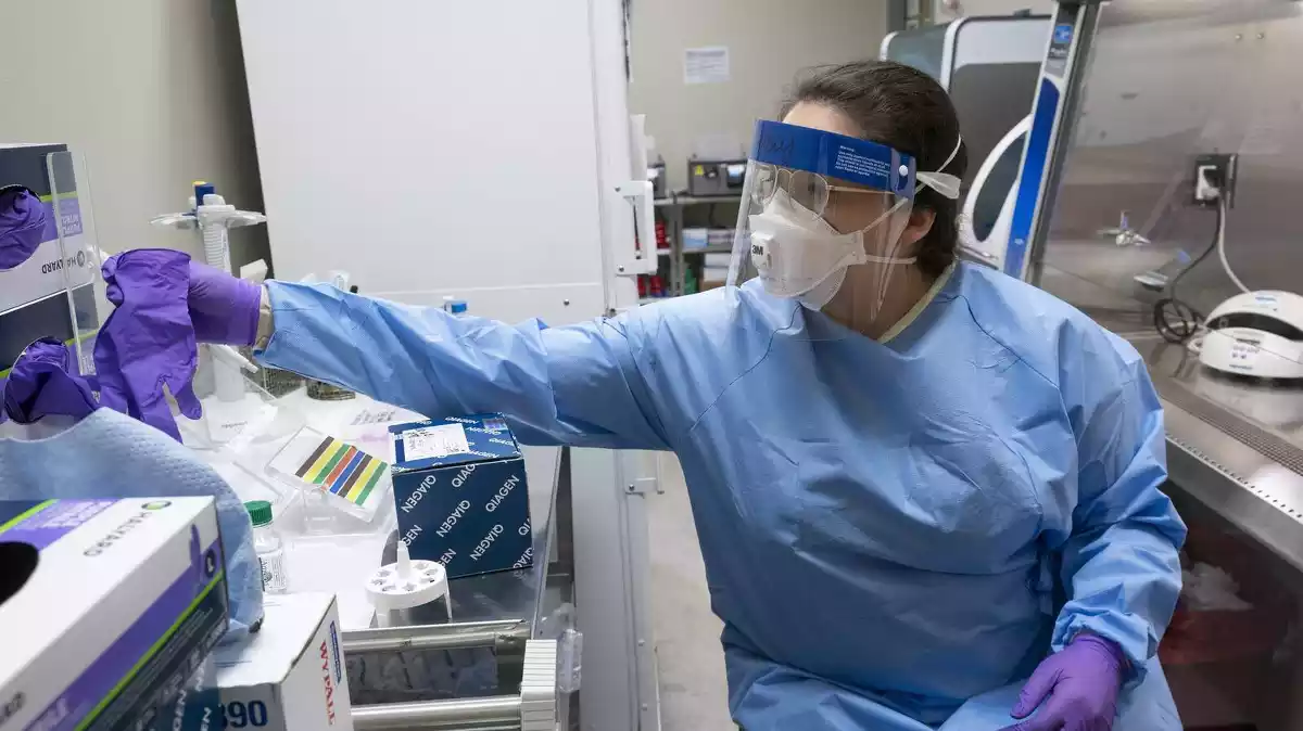 Microbiòloga de Texas fent proves contra el covid-19 el 6 de març de 2020