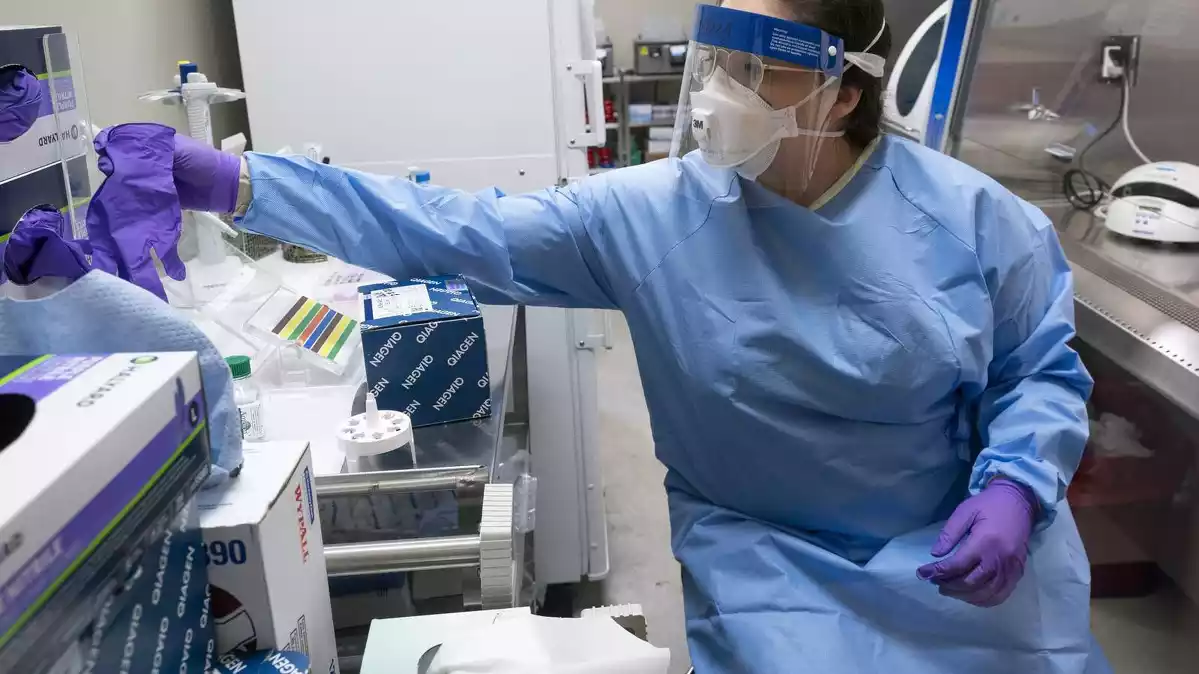 Microbiòloga de Texas fent proves contra el covid-19 el 6 de març de 2020