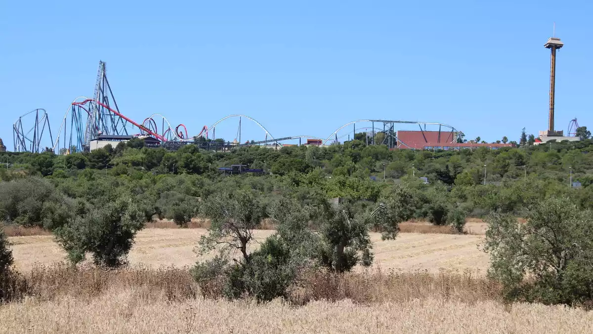 Camps agrícoles on està previst el Centre Recreatiu i Turístic (CRT) de Vila-seca i Salou i, al fons, muntanyes russes del parc d'atraccions PortAventura