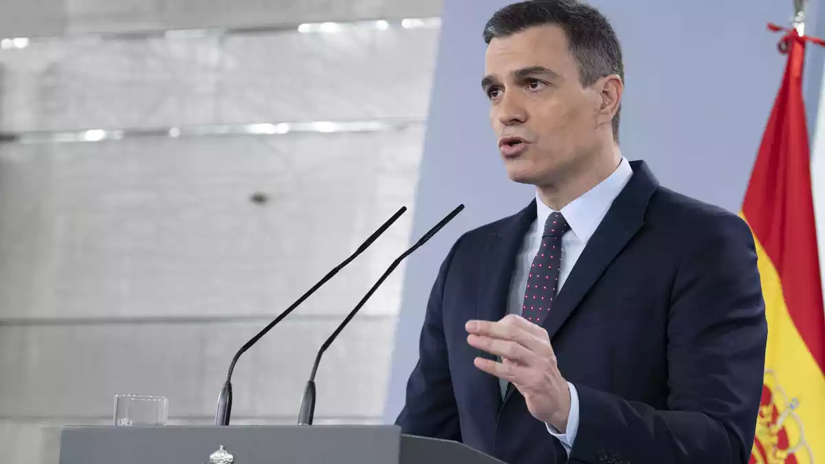 Pla mitjà del president del govern espanyol, Pedro Sánchez