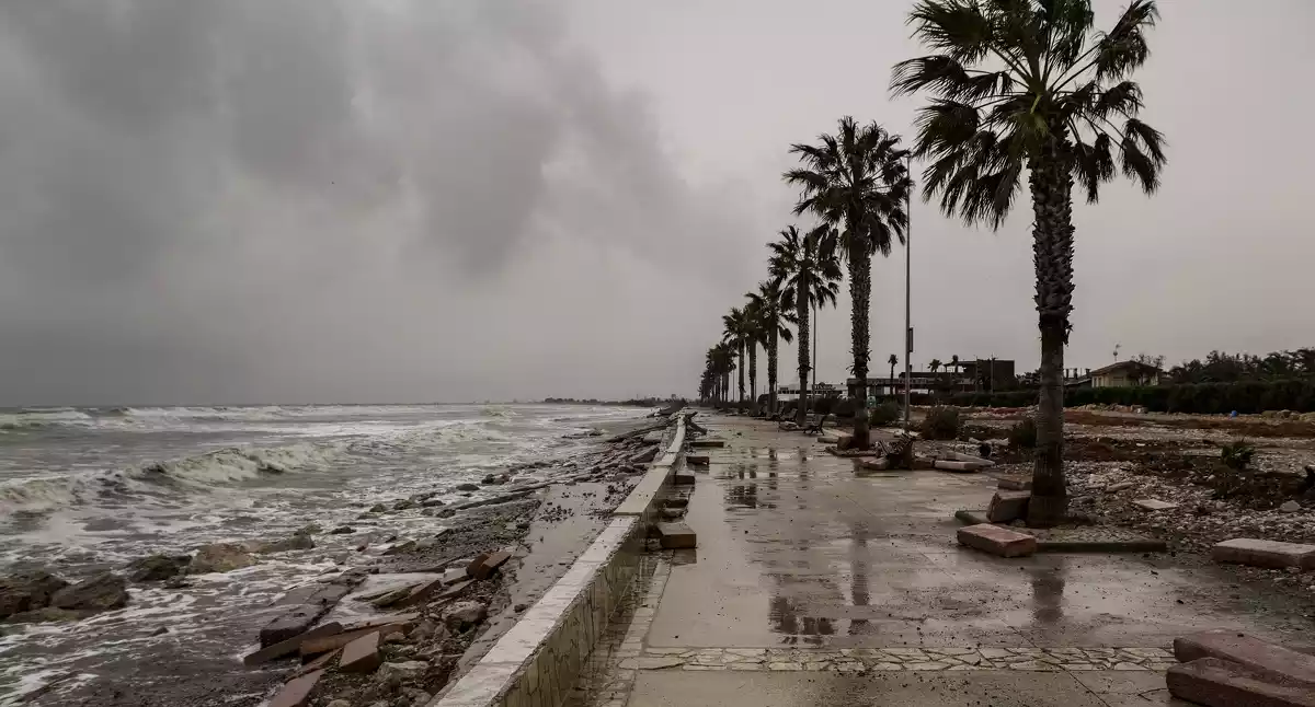 El paisatge desolador al Delta de l'Ebre després dels aiguats en imatges