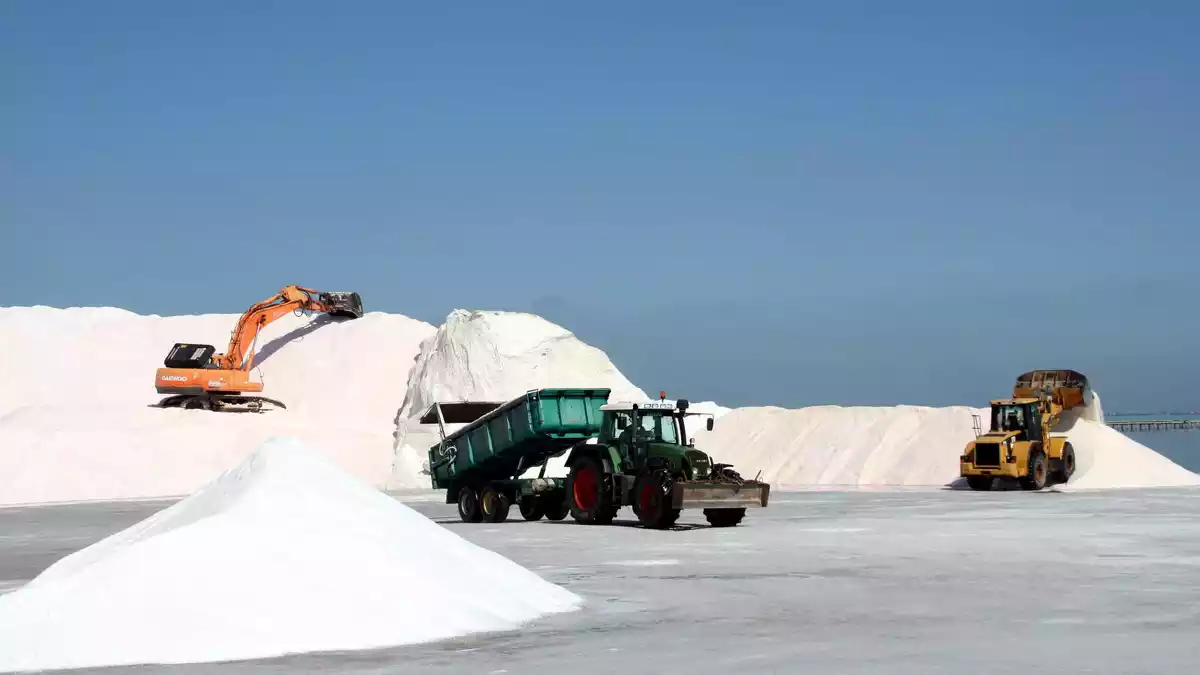 Imatge d'arxiu de màquines i tractors treballant en la recollida de la sal a les salines de la Trinitat