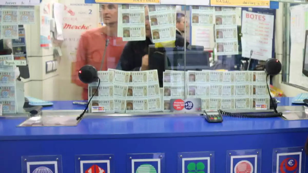 Una clienta mirant els números de la rifa de Nadal aquest en una administració de loteria de Girona. (20 de desembre del 2016)