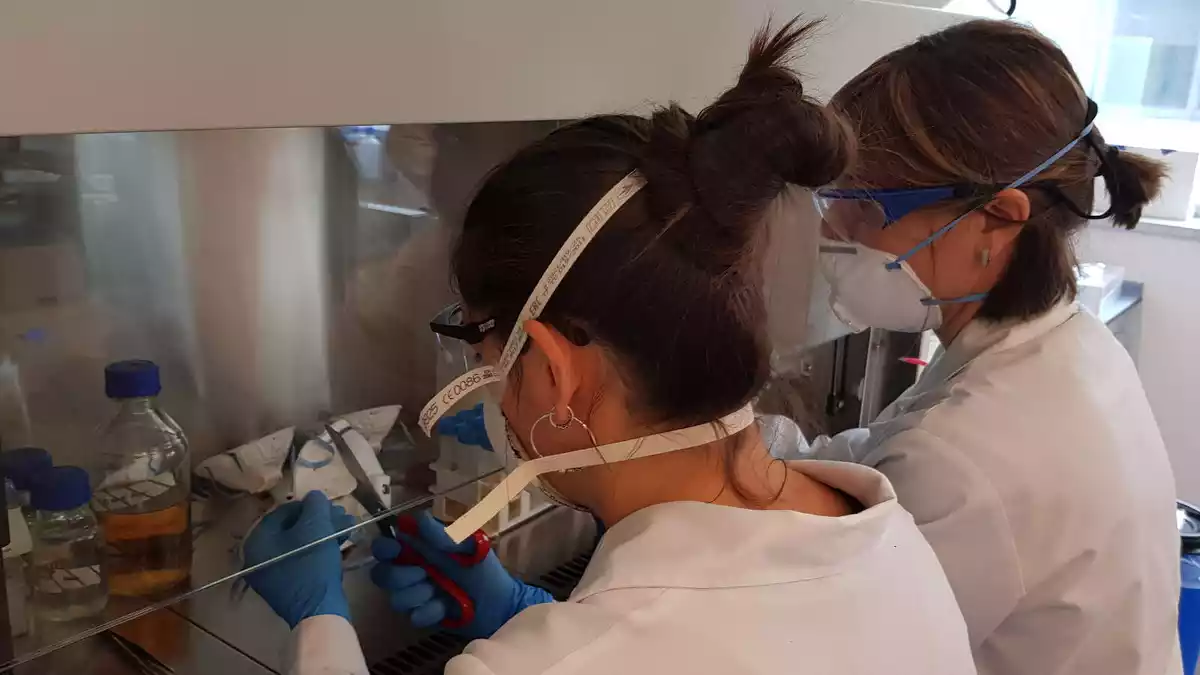 Pla mitjà de dues tècniques al laboratori d'Eurecat treballant en la desinfecció de les mascaretes
