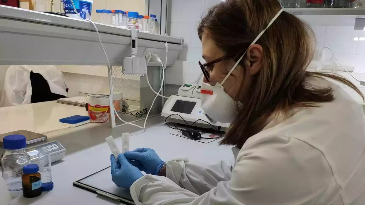 La doctora Jauset, amb dues proves al laboratori de la URV