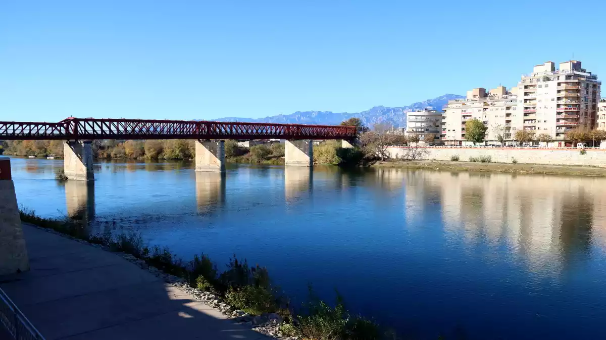 Un estudi certifica que rius com l'Ebre pateixen els efectes de la millora en la depuració de les aigües