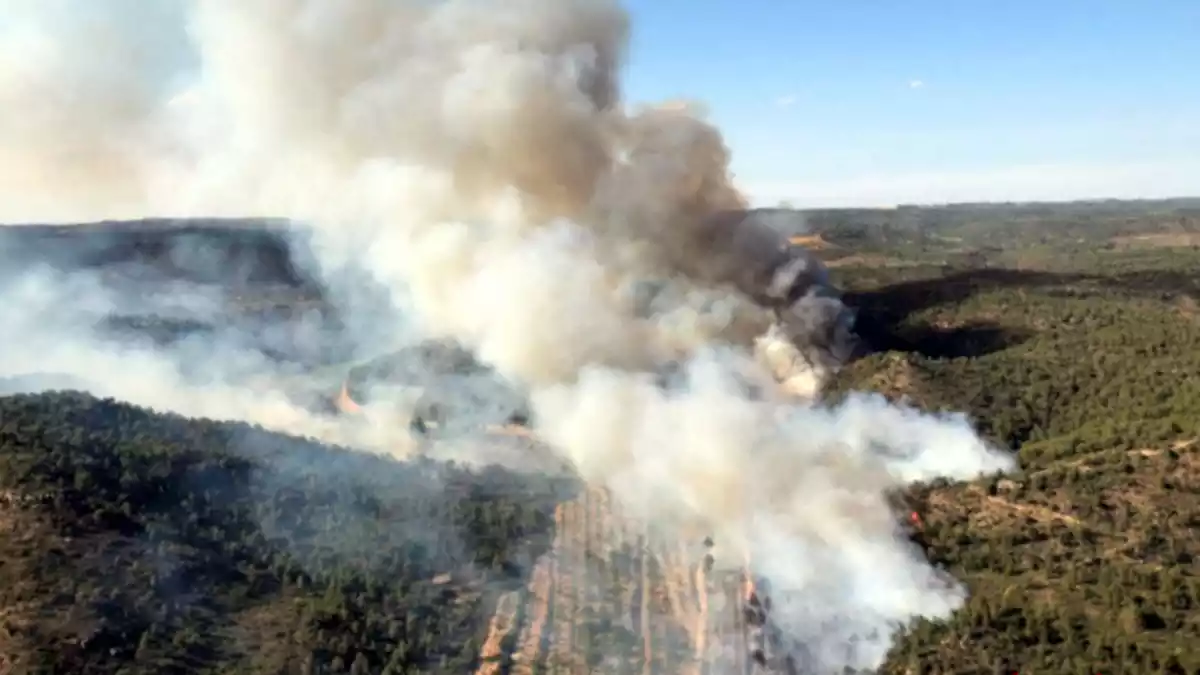 Imatge de l'incendi de vegetació forestal de Maials, al Segrià