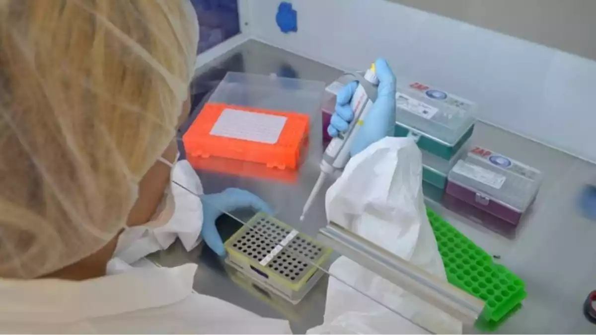 Una profesional sanitaria haciendo un test de coronavirus