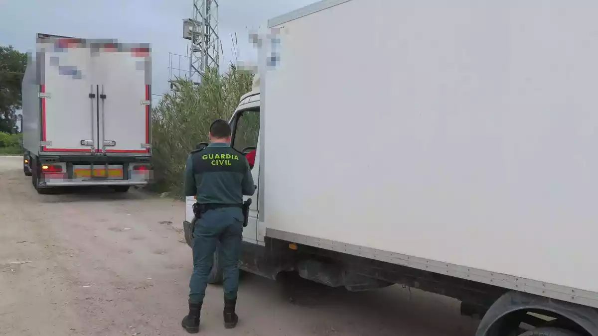 Un agent de la Guàrdia Civil amb els vehicles isotèrmics que transportaven gairebé cinc tones de musclo il·legal al delta de l'Ebre